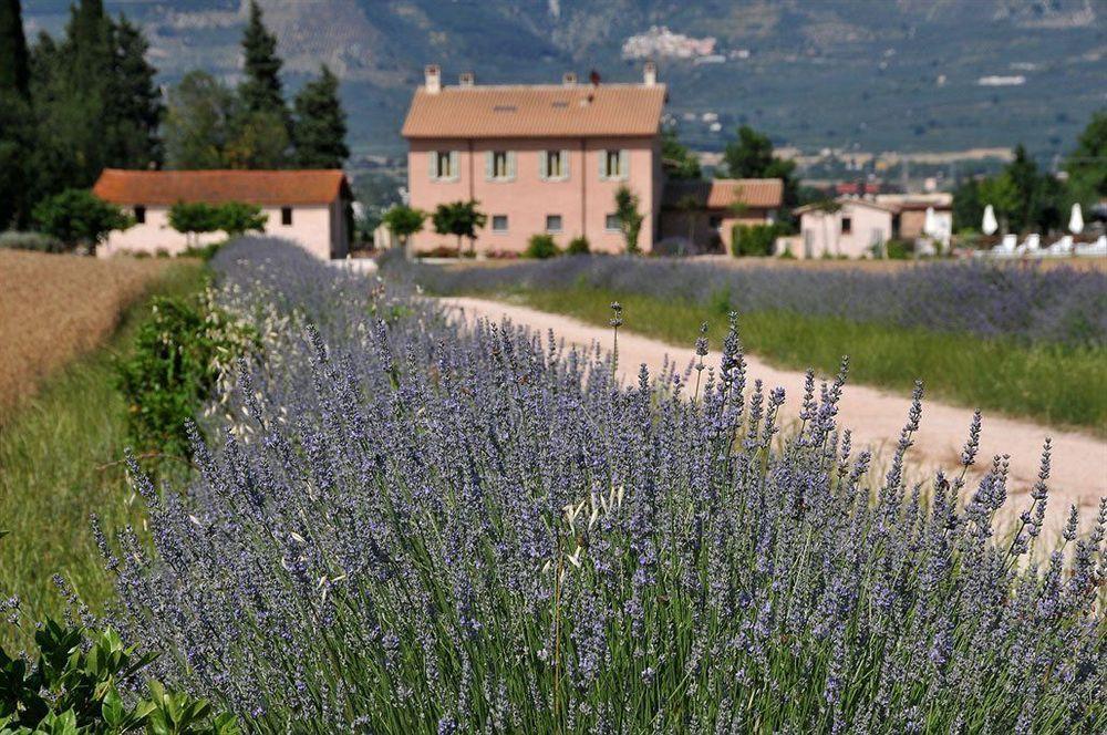 Country House Casco Dell'Acqua Trevi Extérieur photo